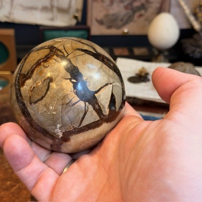 Septaria ball of Madagascar