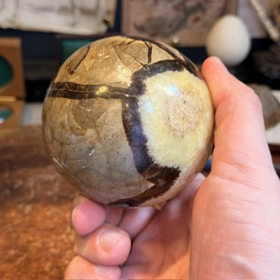 Septaria ball of Madagascar