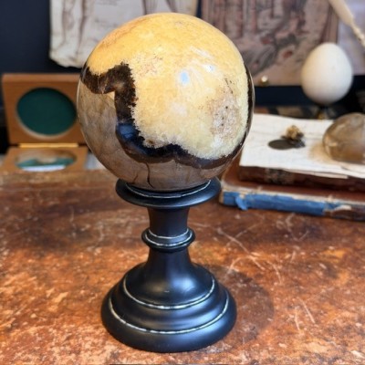 Pierre de Dragon - Septaria de Madagascar en Boule