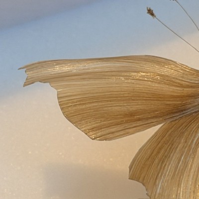 Butterfly in BLOND hair - Hair work in the style of the 19th century