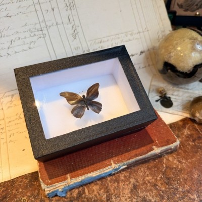 Papillon en cheveux BRUN - Travail en cheveux à la manière du XIXème siècle