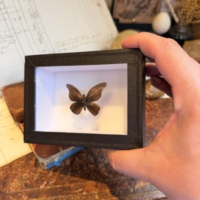 Papillon en cheveux BRUN - Travail en cheveux à la manière du XIXème siècle