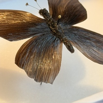 Papillon en cheveux BRUN - Travail en cheveux à la manière du XIXème siècle