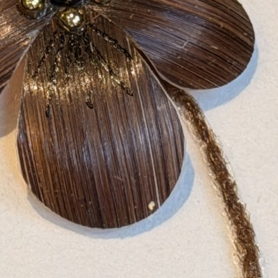 Fleur de pensée en cheveux - Souvenir à la manière victorienne du XIXème siècle