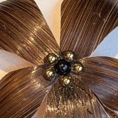 Fleur de pensée en cheveux - Souvenir à la manière victorienne du XIXème siècle