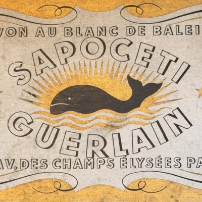 Coffret de savons SAPOCETI GUERLAIN - Savon au blanc de baleine - 1920/1930
