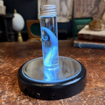 Octopus Tentacle Diaphanisation - Biological preparation