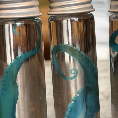 Octopus Tentacle Diaphanisation - Biological preparation