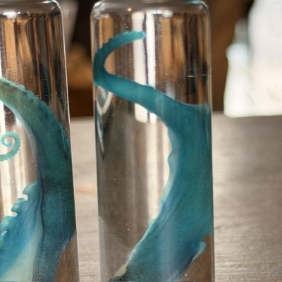 Octopus Tentacle Diaphanisation - Biological preparation