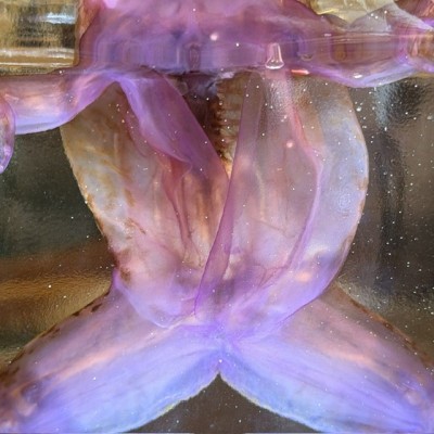 Diaphanization of a marsh frog - Pelophylax ridibundus crossbred