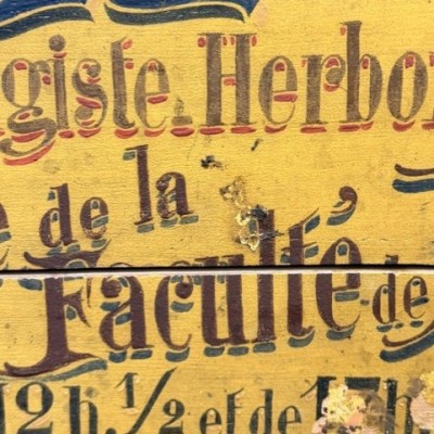 Pharmacy and Herbalist painted wooden trade sign - 1890-1920