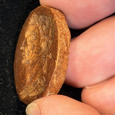 Empreinte d'intailles et camées antiques du Grand Tour du XIXème siècle