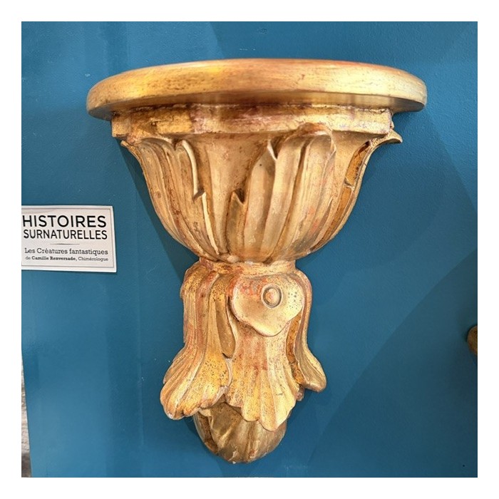 Cul-de-lampe Wall Bracket Console - Stuccoed and Gilded Wood - Italy (Tuscany), 19th Century