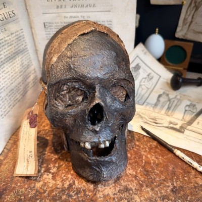 Mummy head - Human skull: artist reproduction by Jérôme Cavailles