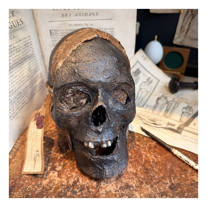 Mummy head - Human skull: artist reproduction by Jérôme Cavailles