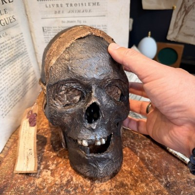 Mummy head - Human skull: artist reproduction by Jérôme Cavailles