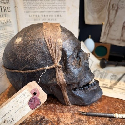 Mummy head - Human skull: artist reproduction by Jérôme Cavailles
