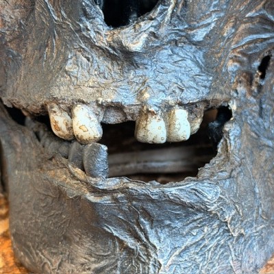 Mummy head - Human skull: artist reproduction by Jérôme Cavailles