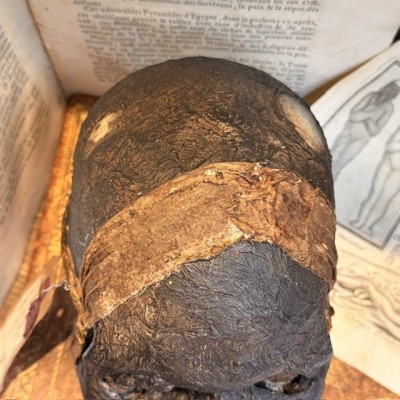 Mummy head - Human skull: artist reproduction by Jérôme Cavailles