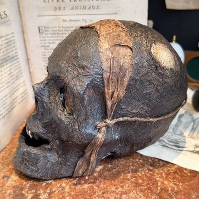Mummy head - Human skull: artist reproduction by Jérôme Cavailles