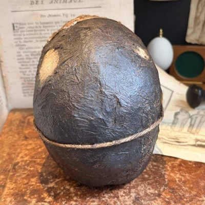 Mummy head - Human skull: artist reproduction by Jérôme Cavailles