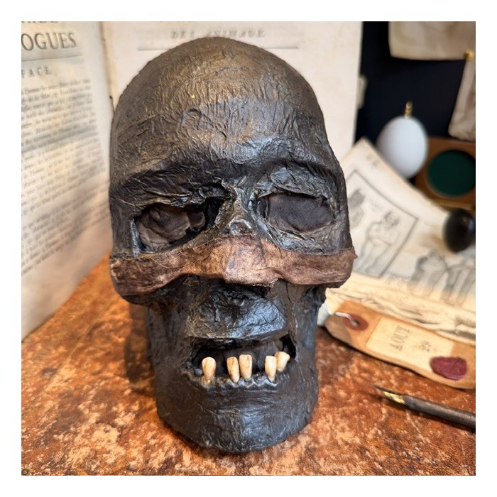 Mummy head - Human skull: artist reproduction by Jérôme Cavailles
