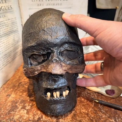 Mummy head - Human skull: artist reproduction by Jérôme Cavailles