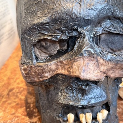 Mummy head - Human skull: artist reproduction by Jérôme Cavailles