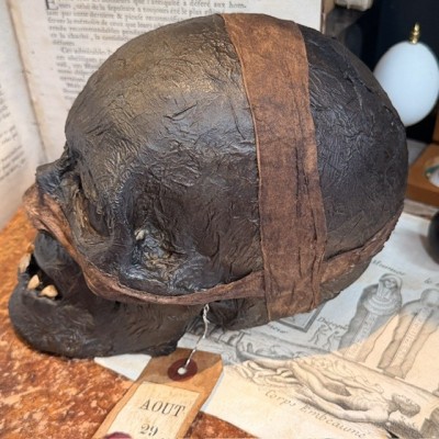 Mummy head - Human skull: artist reproduction by Jérôme Cavailles