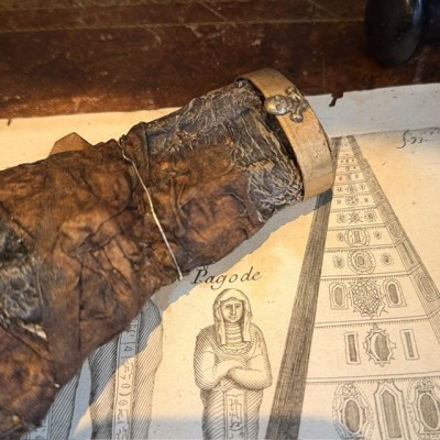 Main de momie - Crâne: Réplique d'artiste par Jérôme Cavailles