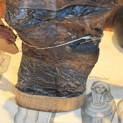 Mummy hand - Artist reproduction by Jérôme Cavailles