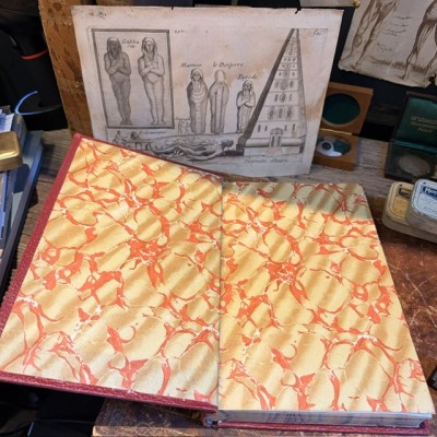 The Norwich Jubilee (1859) - Édition Originale sur Papier de Momie - En bandelettes de momie