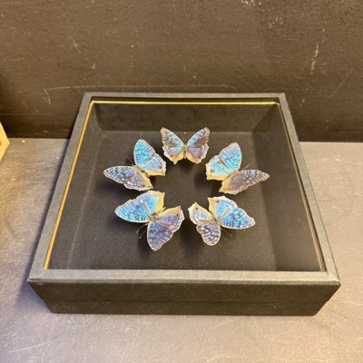 Junonia rhadama Butterflies - Entomologic box -  - Butterfly