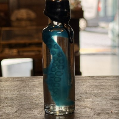 Octopus Tentacle Diaphanisation - Biological preparation