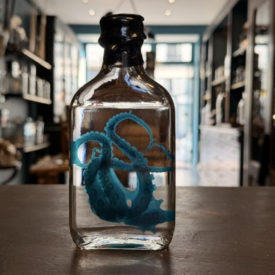 Octopus Tentacles Diaphanisation - Biological preparation