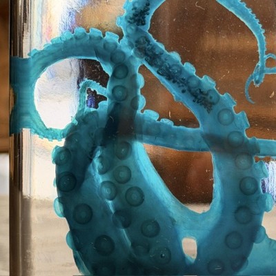 Octopus Tentacles Diaphanisation - Biological preparation