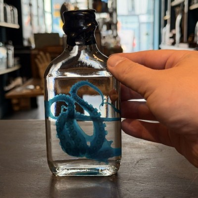 Octopus Tentacles Diaphanisation - Biological preparation