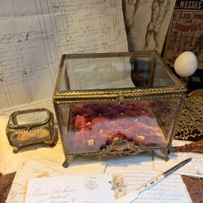 Large Napoleon III Beveled Glass and Brass Wedding Box - 19th Century - Bride's Crown Reliquary Display Case