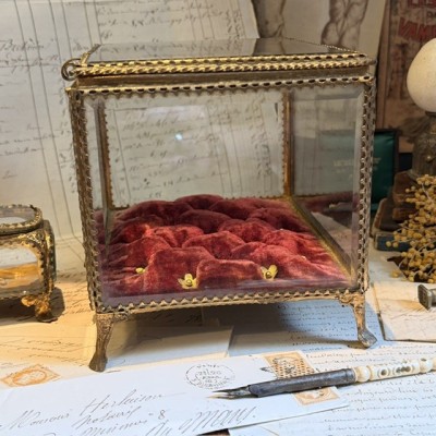Large Napoleon III Beveled Glass and Brass Wedding Box - 19th Century - Bride's Crown Reliquary Display Case
