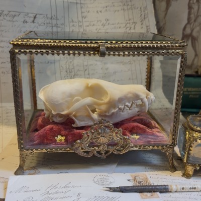 Large Napoleon III Beveled Glass and Brass Wedding Box - 19th Century - Bride's Crown Reliquary Display Case