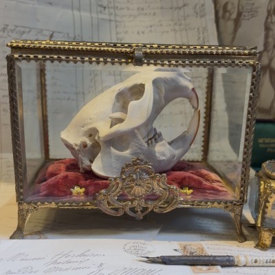 Large Napoleon III Beveled Glass and Brass Wedding Box - 19th Century - Bride's Crown Reliquary Display Case