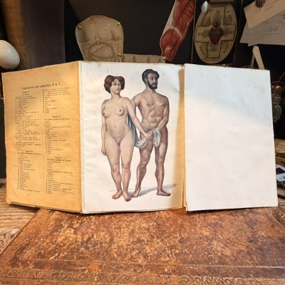 Atlas of Comparative Anatomy - Man and Woman - Anatomy Booklet 1930