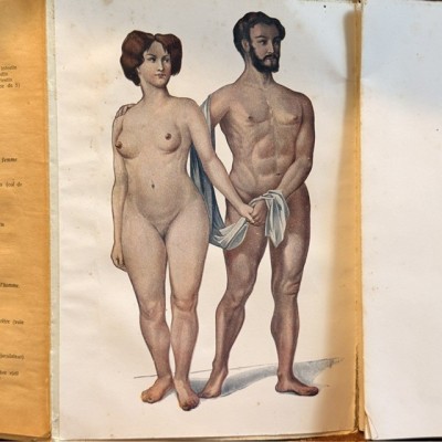 Atlas of Comparative Anatomy - Man and Woman - Anatomy Booklet 1930