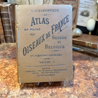 Pocket Atlas - Birds of France Switzerland and Belgium - 1908
