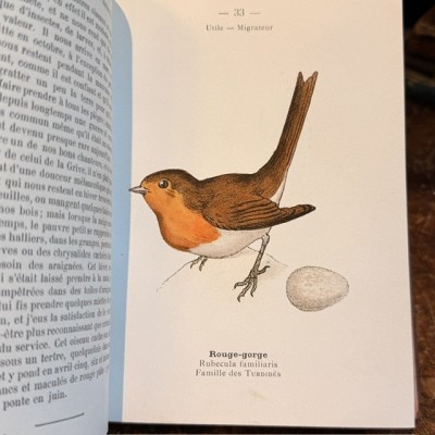 Atlas de poche des Oiseaux De France - Suisse et Belgique - 1908
