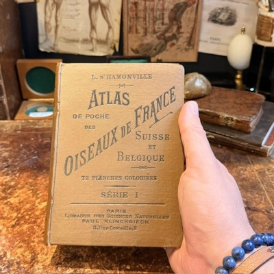 Pocket Atlas - Birds of France Switzerland and Belgium - 1908