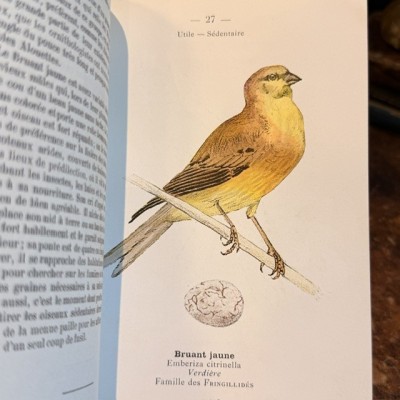 Atlas de poche des Oiseaux De France - Suisse et Belgique - 1908