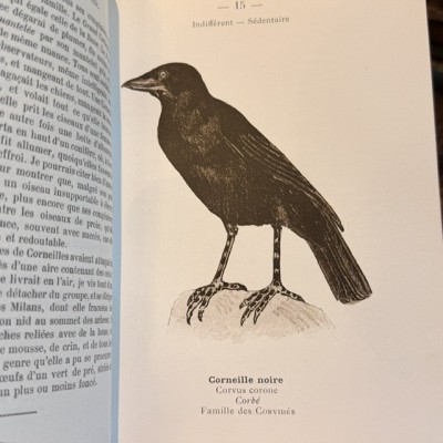 Atlas de poche des Oiseaux De France - Suisse et Belgique - 1908