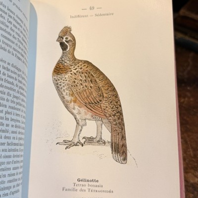 Atlas de poche des Oiseaux De France - Suisse et Belgique - 1908