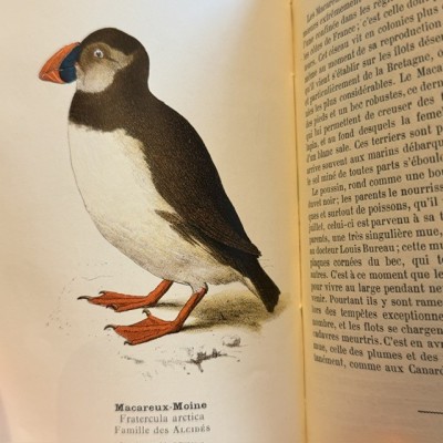 Atlas de poche des Oiseaux De France - Suisse et Belgique - 1908